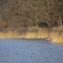 IMG_6014