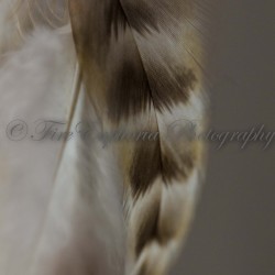 IMG_6359