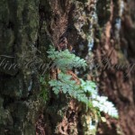 IMG_9441
