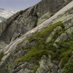 IMG_3881