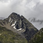IMG_4029